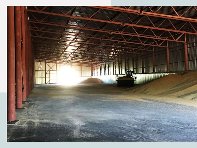 Строительство зернохранилищ в Кронштадте