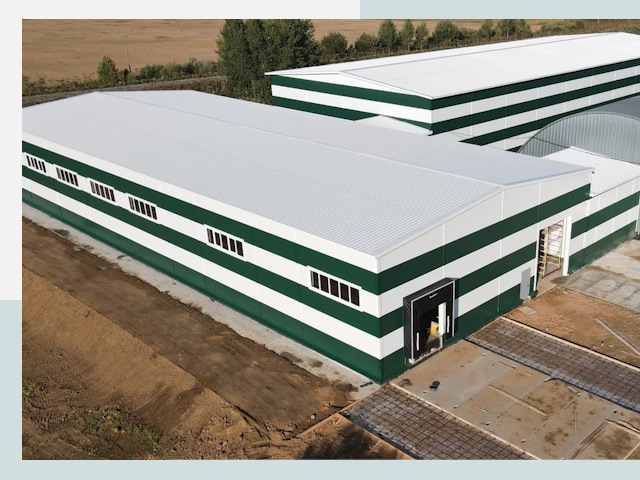 Строительство овощехранилищ в Кронштадте