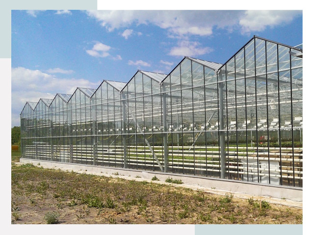 Строительство теплиц в Кронштадт от 626 руб. за м²